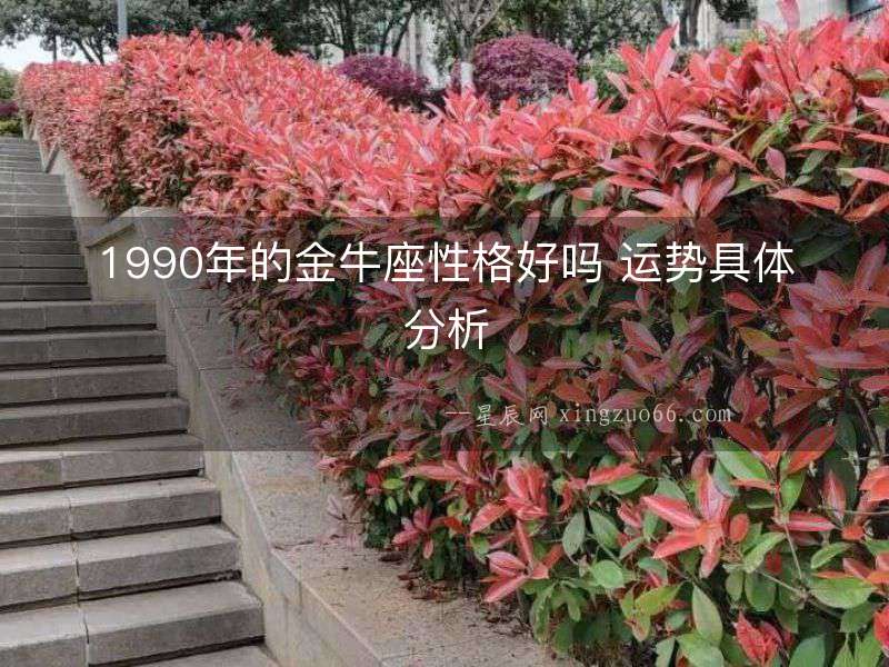1990年的金牛座性格好嗎 運勢具體分析