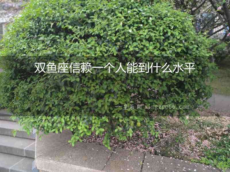 雙魚座信賴一個人能到什么水平