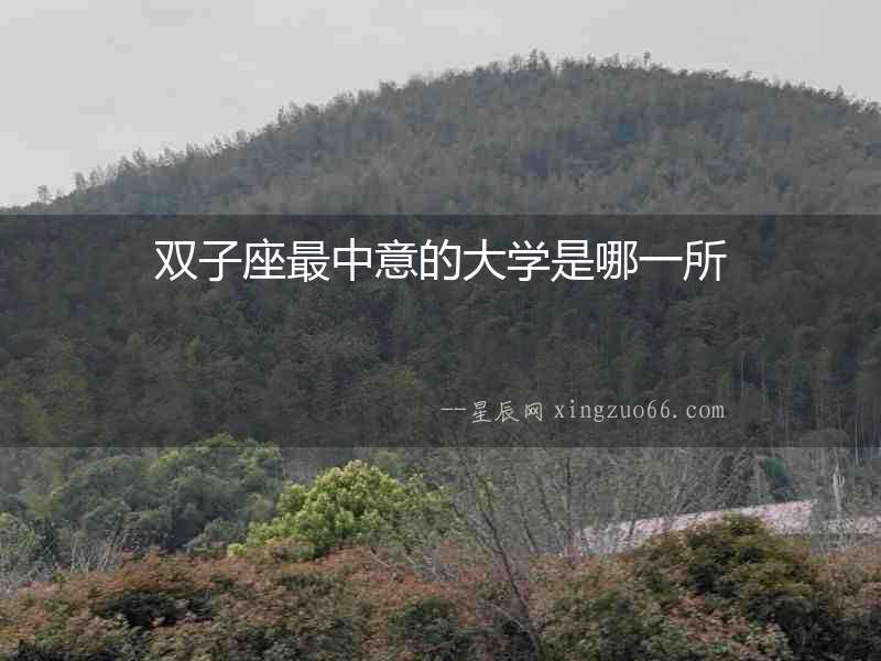 雙子座最中意的大學是哪一所
