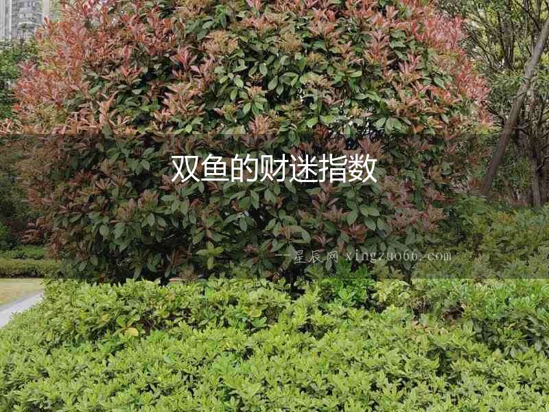 雙魚的財迷指數