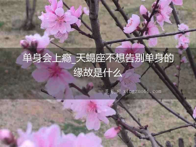 單身會上癮_天蝎座不想告別單身的緣故是什么