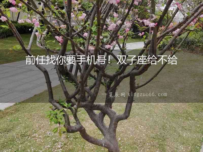 前任找你要手機號！雙子座給不給