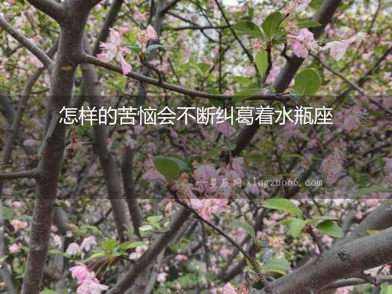 怎樣的苦惱會不斷糾葛著水瓶座