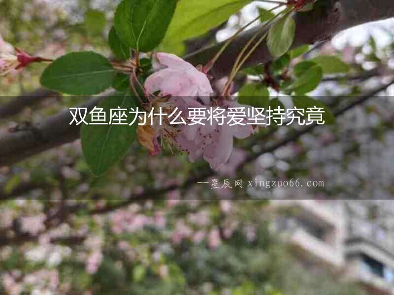 雙魚座為什么要將愛堅持究竟