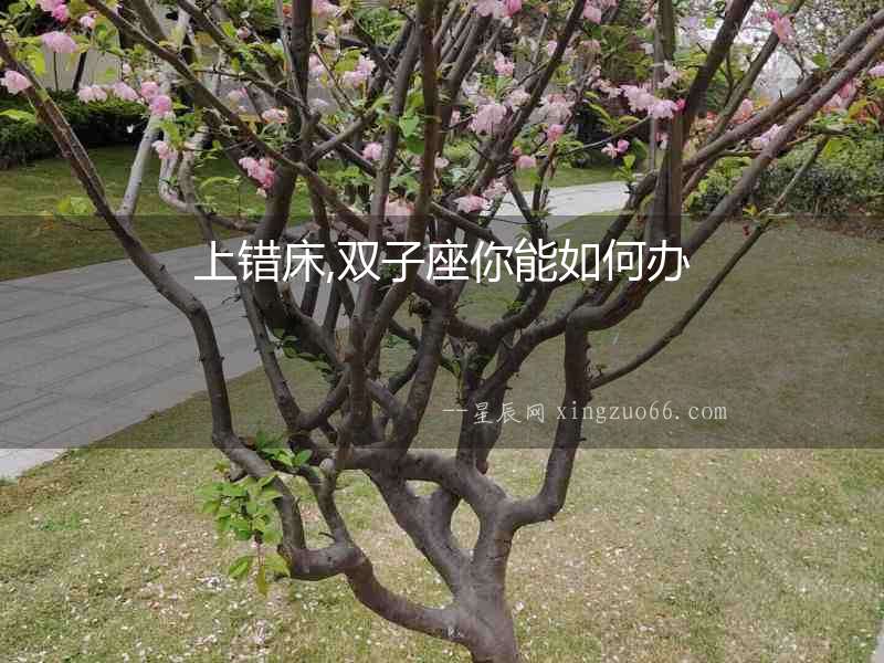 上錯床,雙子座你能如何辦