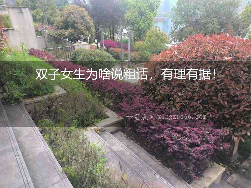 雙子女生為啥說粗話，有理有據！