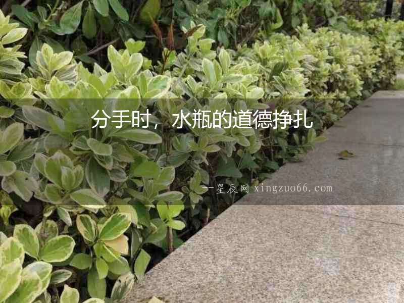 分手時，水瓶的道德掙扎