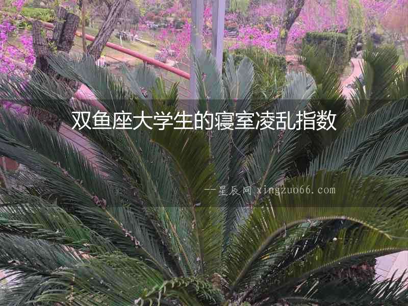雙魚座大學生的寢室凌亂指數