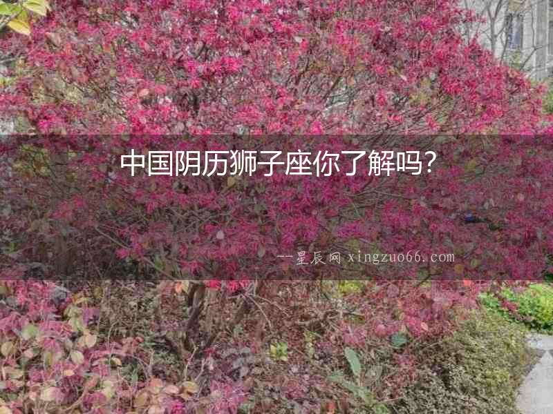 中國(guó)陰歷獅子座你了解嗎？