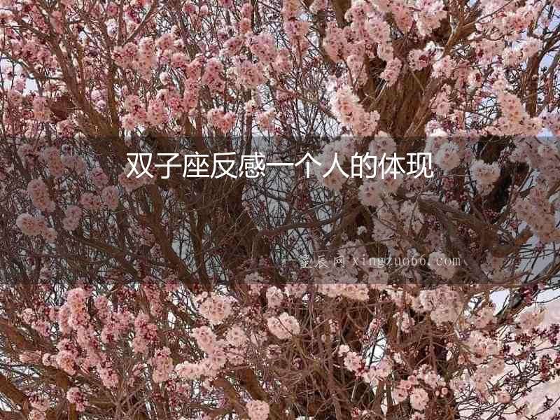 雙子座反感一個人的體現(xiàn)