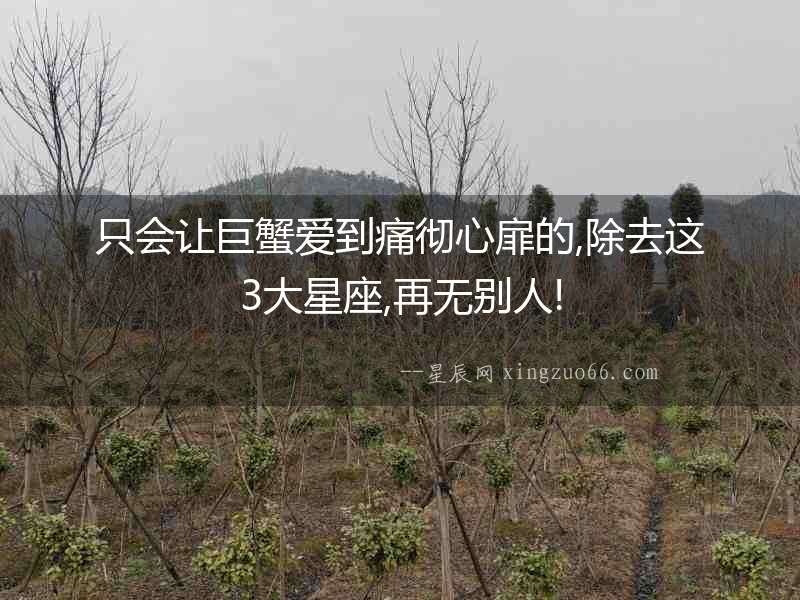 只會(huì)讓巨蟹愛(ài)到痛徹心扉的,除去這3大星座,再無(wú)別人!