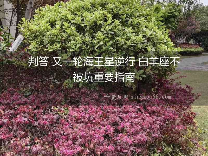 判答 又一輪海王星逆行 白羊座不被坑重要指南