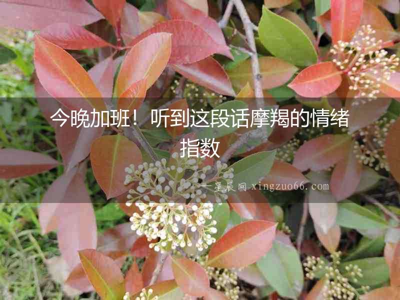 今晚加班！聽到這段話摩羯的情緒指數