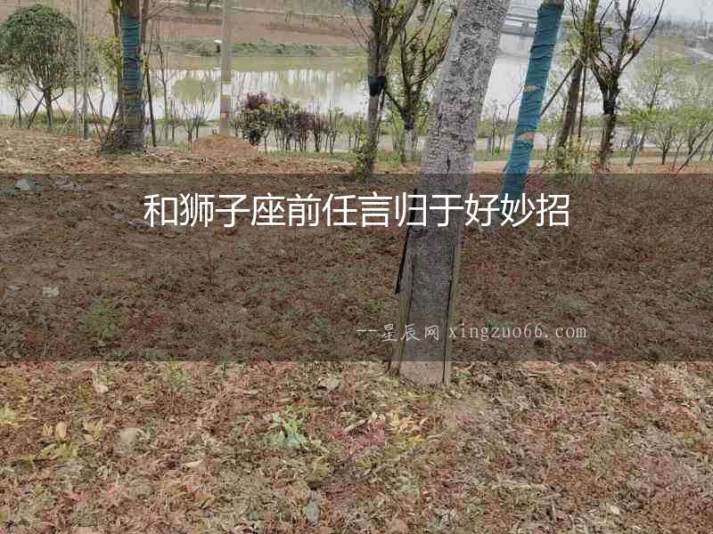和獅子座前任言歸于好妙招