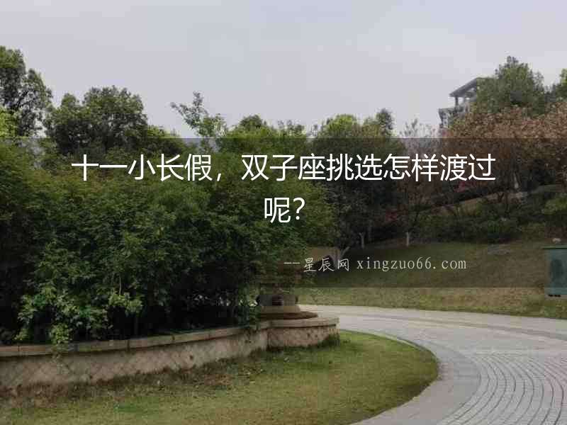 十一小長假，雙子座挑選怎樣渡過呢？