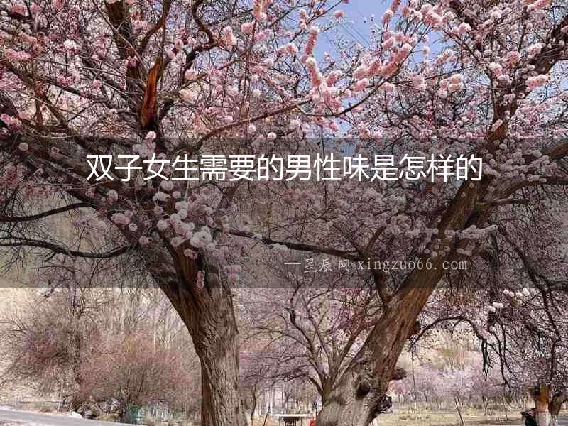 雙子女生需要的男性味是怎樣的