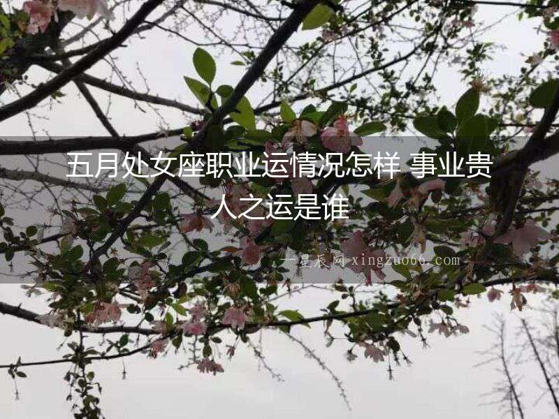 五月處女座職業運情況怎樣 事業貴人之運是誰