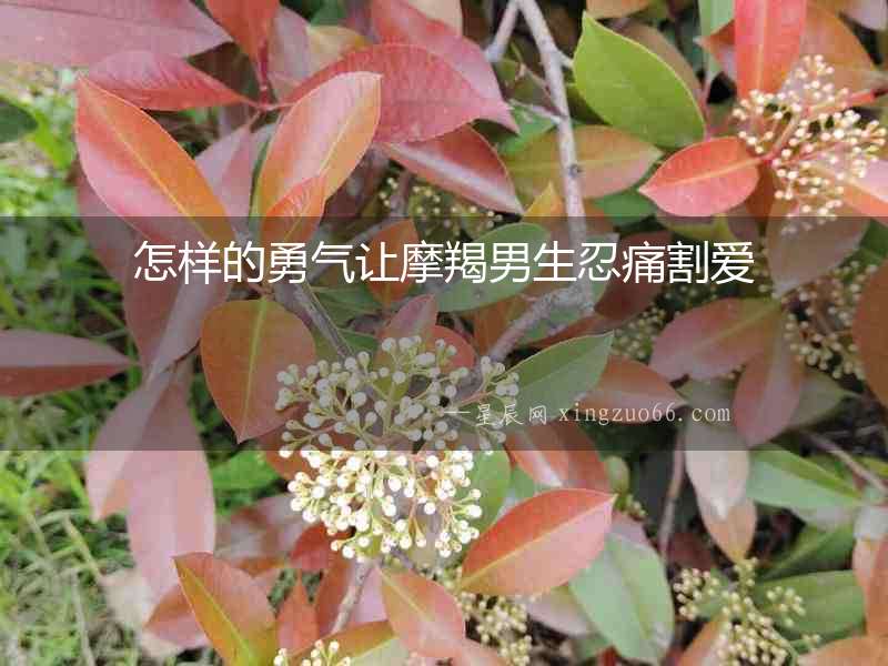 怎樣的勇氣讓摩羯男生忍痛割愛