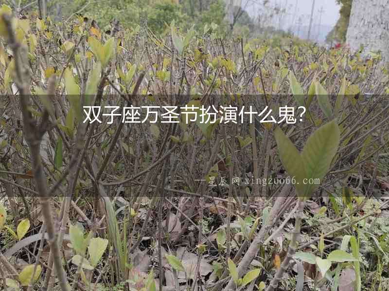 雙子座萬圣節扮演什么鬼？