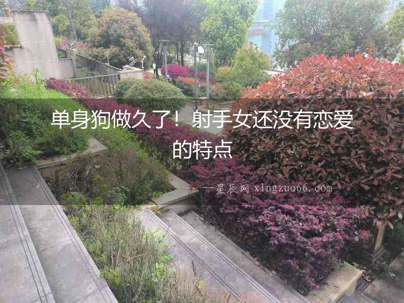 單身狗做久了！射手女還沒有戀愛的特點