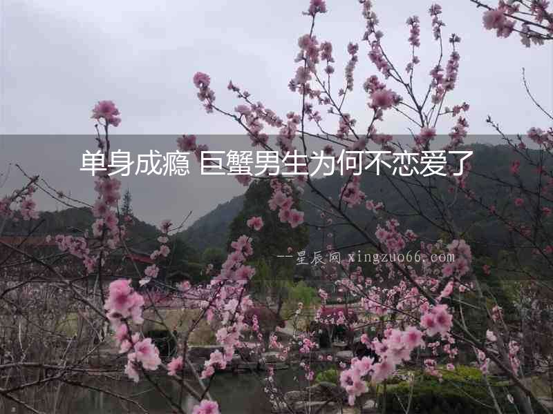 單身成癮 巨蟹男生為何不戀愛了