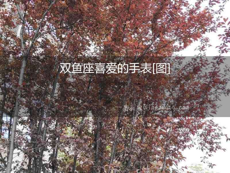 雙魚(yú)座喜愛(ài)的手表[圖]