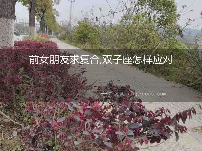 前女朋友求復(fù)合,雙子座怎樣應(yīng)對(duì)