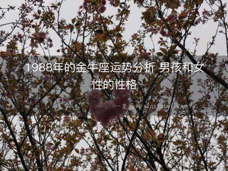 1988年的金牛座運勢分析 男孩和女性的性格