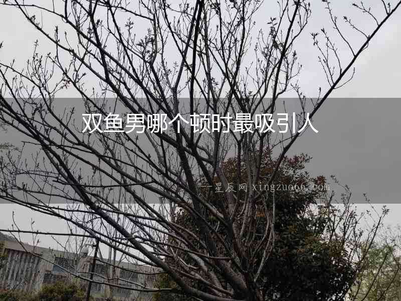 雙魚男哪個(gè)頓時(shí)最吸引人