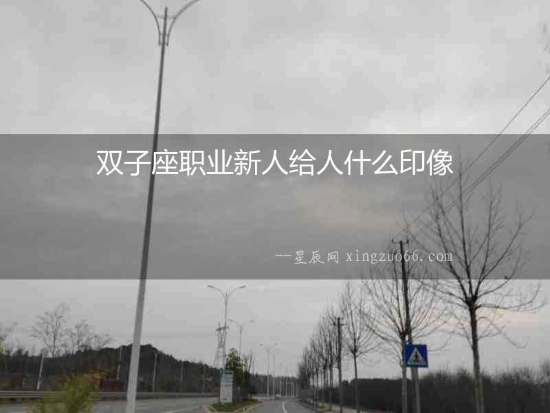 雙子座職業(yè)新人給人什么印像