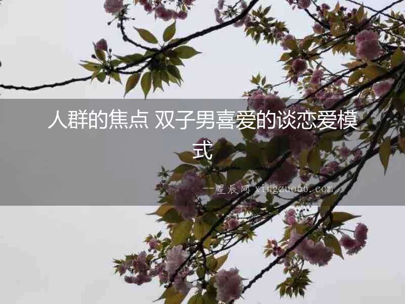 人群的焦點 雙子男喜愛的談戀愛模式
