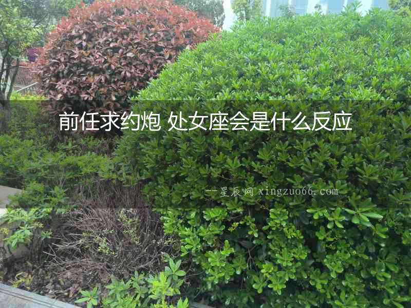 前任求約炮 處女座會(huì)是什么反應(yīng)