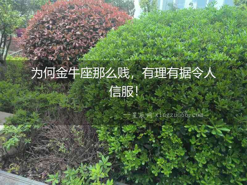 為何金牛座那么賤，有理有據(jù)令人信服！
