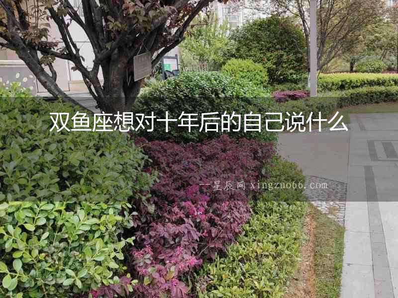 雙魚座想對十年后的自己說什么