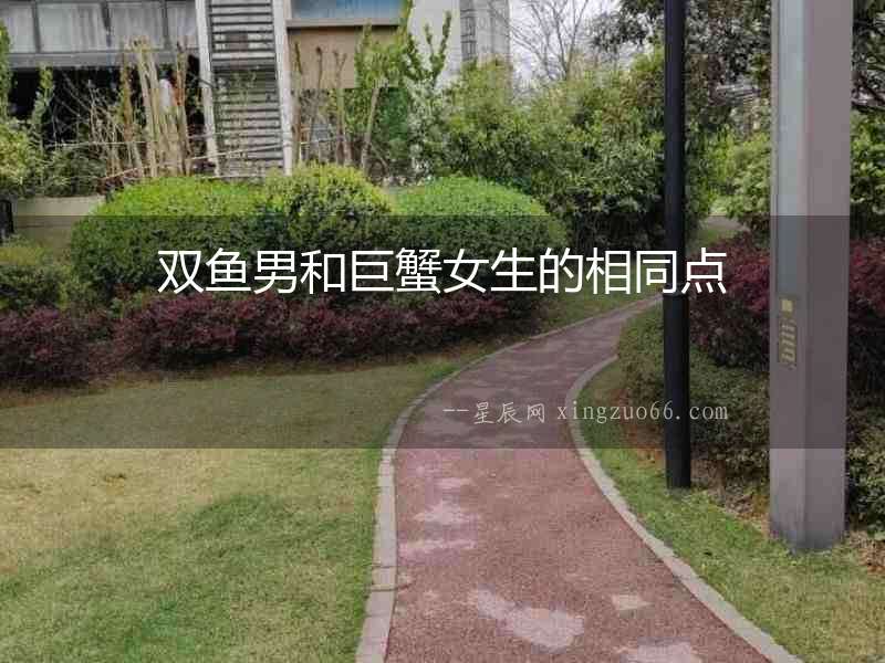 雙魚男和巨蟹女生的相同點
