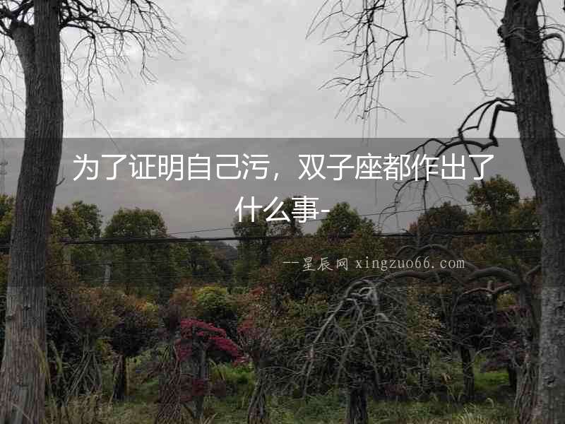 為了證明自己污，雙子座都作出了什么事-