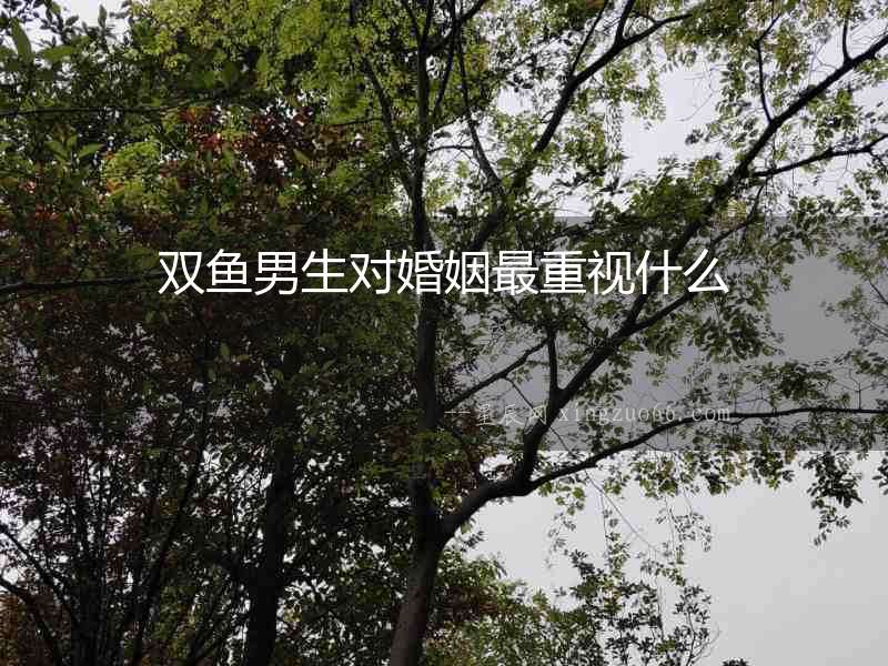 雙魚男生對婚姻最重視什么