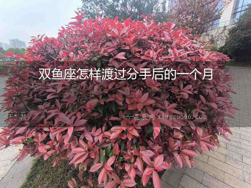 雙魚座怎樣渡過(guò)分手后的一個(gè)月