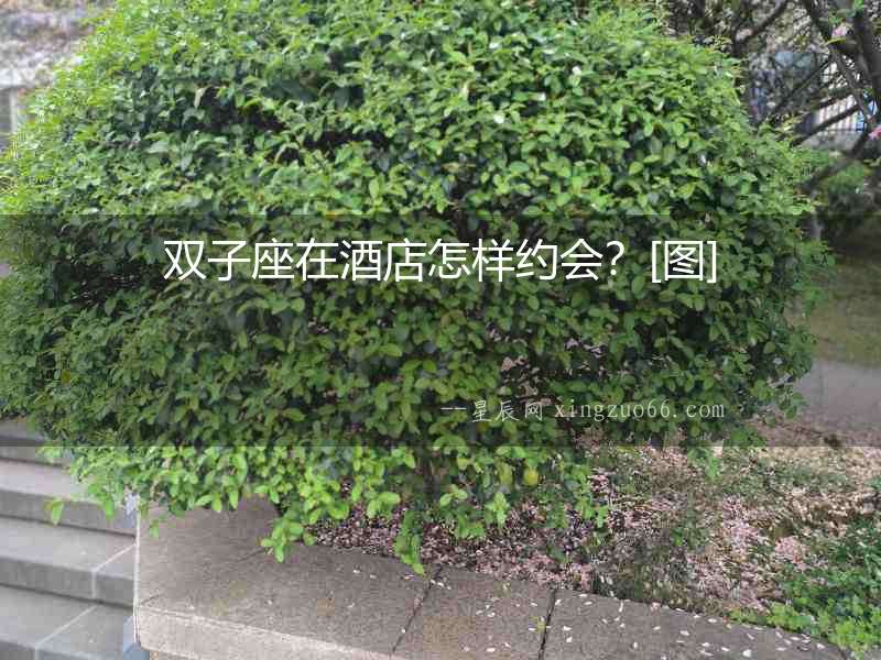 雙子座在酒店怎樣約會(huì)？[圖]