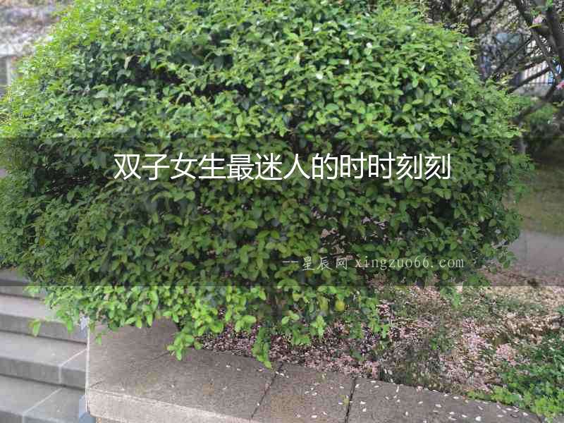 雙子女生最迷人的時時刻刻