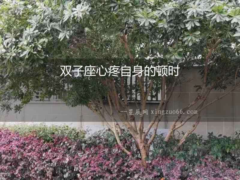 雙子座心疼自身的頓時