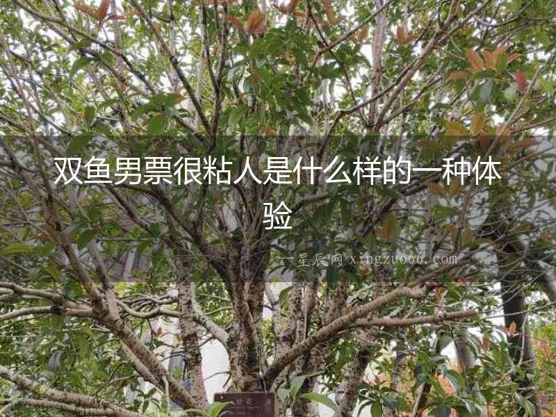 雙魚男票很粘人是什么樣的一種體驗