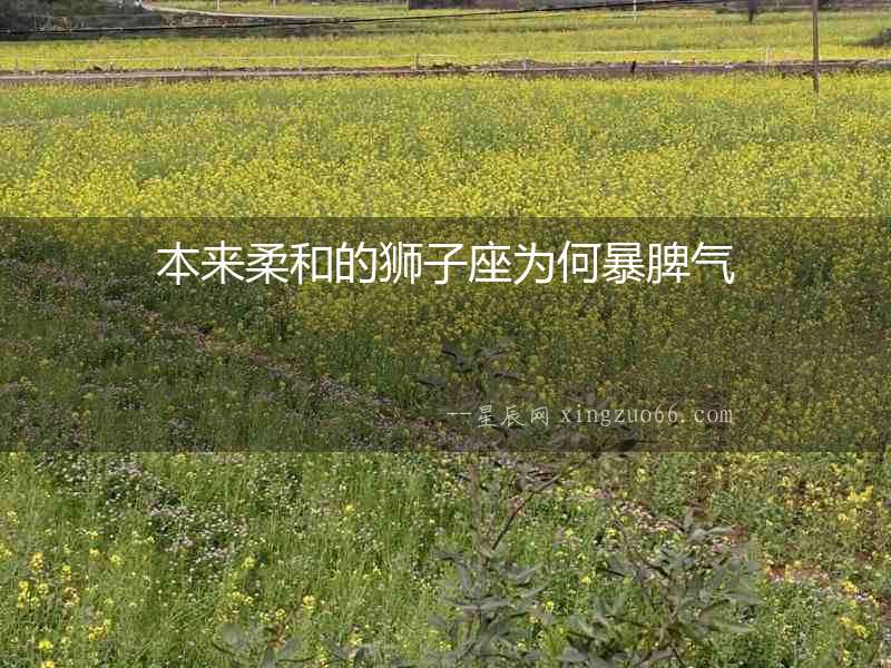 本來柔和的獅子座為何暴脾氣