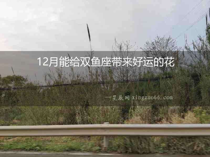 12月能給雙魚座帶來好運(yùn)的花