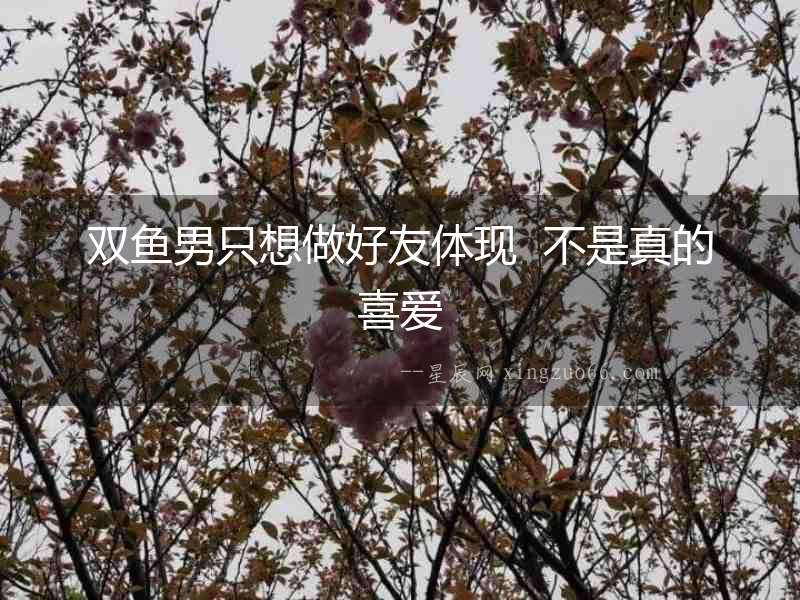 雙魚男只想做好友體現  不是真的喜愛