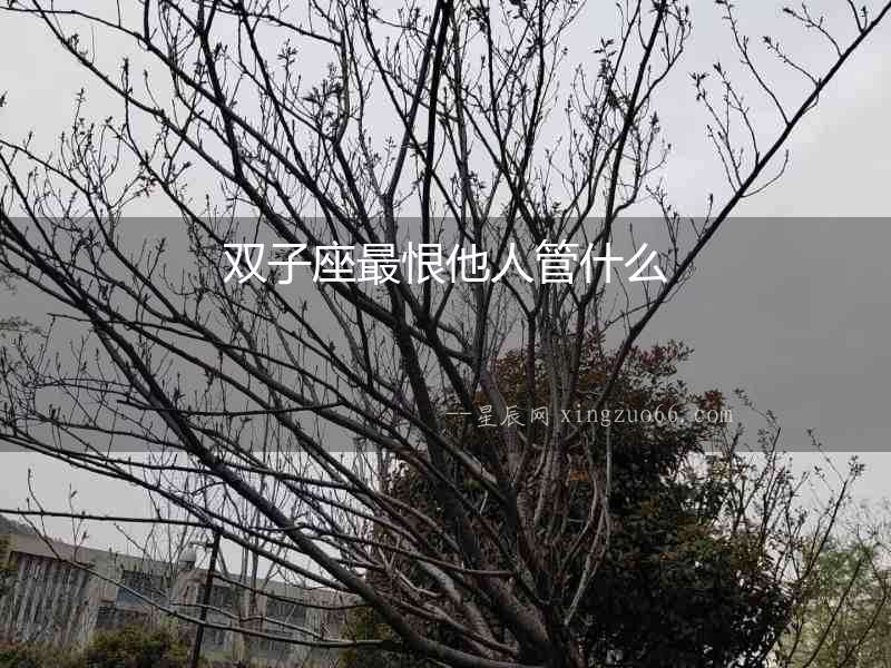 雙子座最恨他人管什么