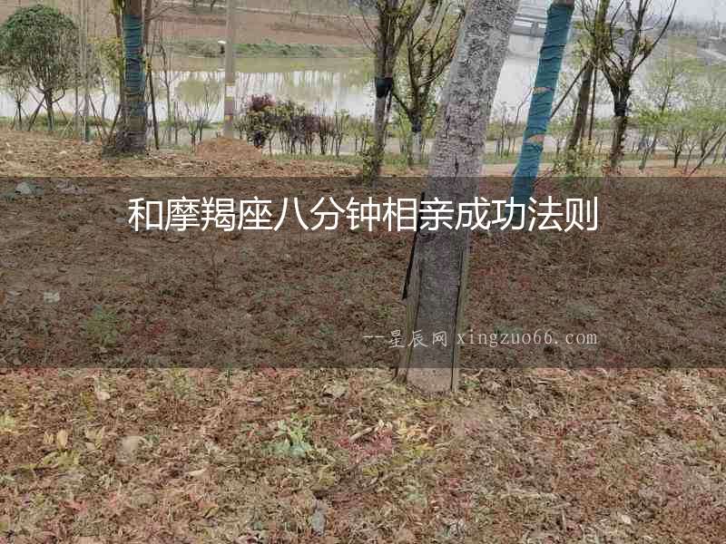 和摩羯座八分鐘相親成功法則