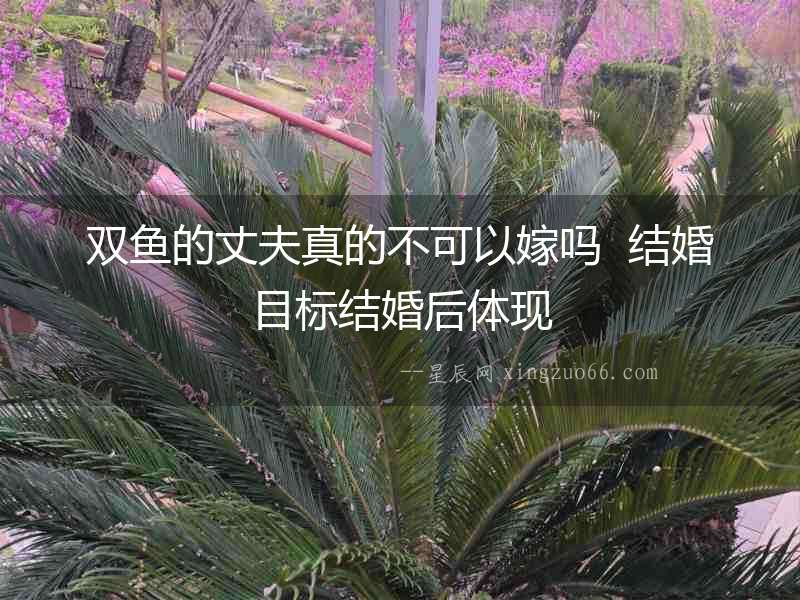 雙魚的丈夫真的不可以嫁嗎  結(jié)婚目標(biāo)結(jié)婚后體現(xiàn)