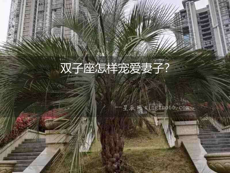 雙子座怎樣寵愛妻子？