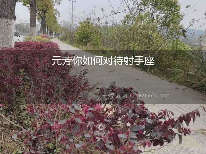 元芳你如何對待射手座